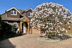 Photo 27- click for photo gallery